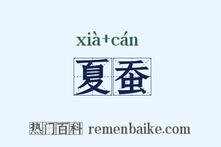 夏蚕是什么意思的图片